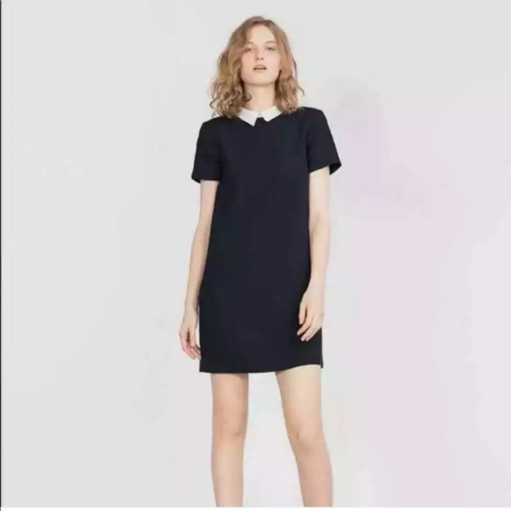 Zara Black Collared Dress